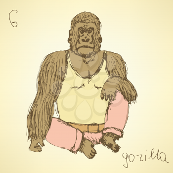 Sketch fancy gorilla in vintage style, vector