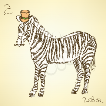 Sketch fancy zebra in vintage style, vector