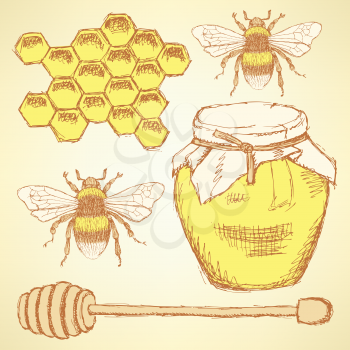 Sketch honey background in vintage style, vector