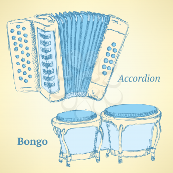 Sketch bongos and accordion in vintage style, vector