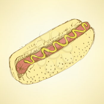 Sketch hot dog in vintage style, vector