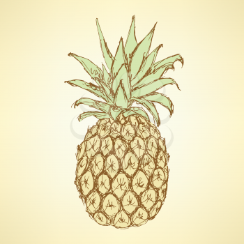 Sketch tasty pineapple in vintage style, vector