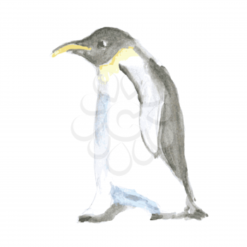 Watercolor cute pinguine in vintage style, vector