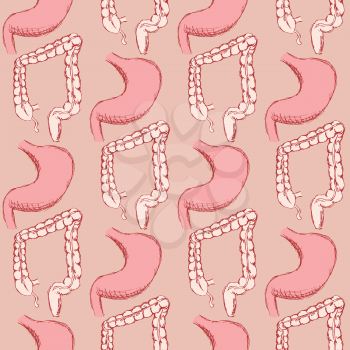 Sketch stomach and rectum  in vintage style, vector seamless pattern