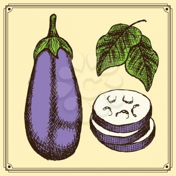 Sketch eggplant set in vintage style, vector