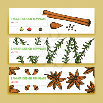 Sketch spices and herbs banners in vintage style, vector