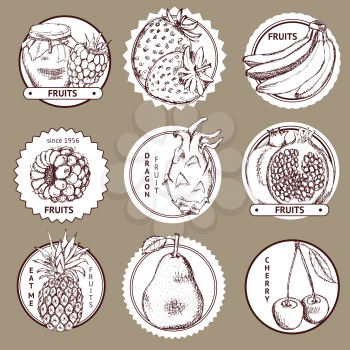 Sketch fruits logotype in vintage style, vector set