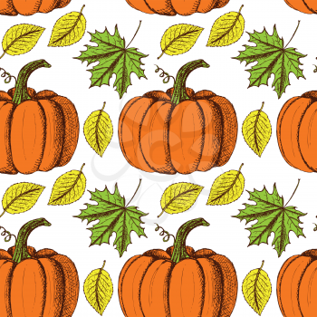 Sketch Thanksgiving seamless pattern in vintage style, vector. Pumpkin and leaves