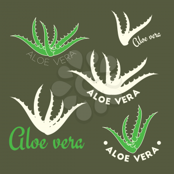 Aloe vera icons, vector beauty logotypes