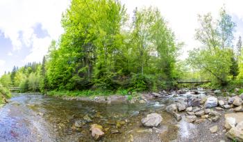 Panorama of Mountain river in Carpathian forest in a beautiful summer day, Ukraine