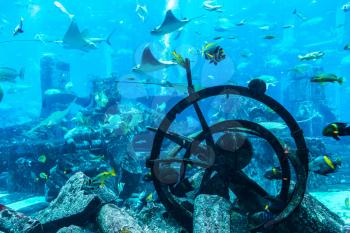 DUBAI, UAE - JUNE 26, 2018: Lost chambers - Large aquarium in Hotel Atlantis in Dubai, United Arab Emirates