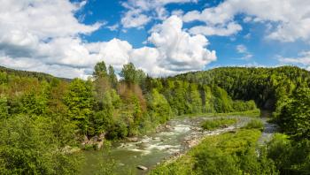 Panorama of Mountain river in Carpathian forest in a beautiful summer day, Ukraine