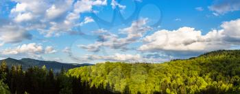 Panorama of Carpathians mountain forest in a beautiful summer day, Ukraine