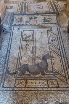 The black mosaic dog in Pompeii city destroyed in 79BC by the eruption of volcano Vesuvius, Italy in a beautiful summer day