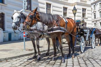 Horse carriage in Vienna, Austria in a beautiful summer day