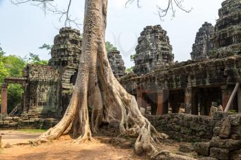 Banyan tree roots in Banteay Kdei temple is Khmer ancient temple in complex Angkor Wat in Siem Reap, Cambodia