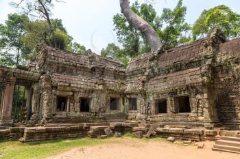 Ta Prohm temple ruins is Khmer ancient temple in complex Angkor Wat in Siem Reap, Cambodia in a summer day