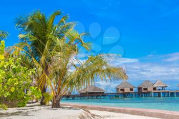 Tropical beach in the Maldives at summer day