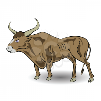 colorful illustration with  bull  for your design