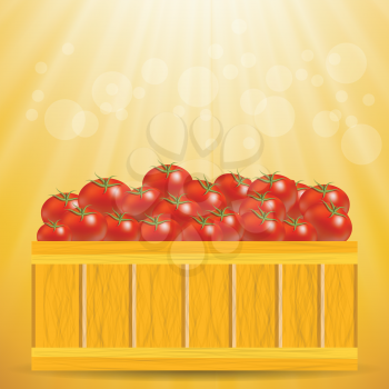 colorful illustration with box of tomatoes on a sun background for your design