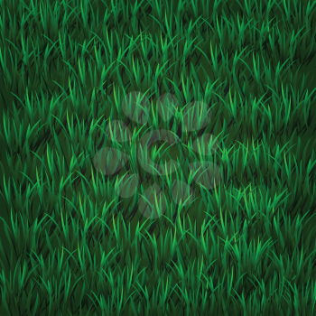 colorful illustration with  green grass for your design