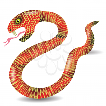 colorful illustration with  red snake  for your design