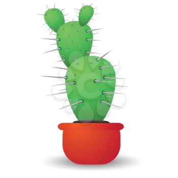 green cactus isolated on a white background for your design