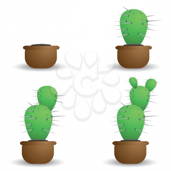 colorful illustration with cactus for your design