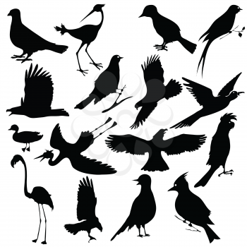 black silhouettes of birds for your design