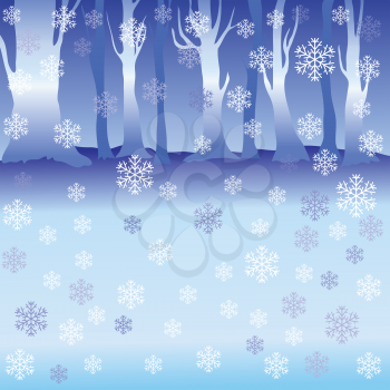 colorful illustration with winter forest for your design