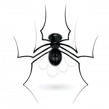 colorful illustration with spider  for your design