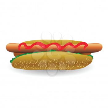 colorful illustration with fresh hot dog  for your design