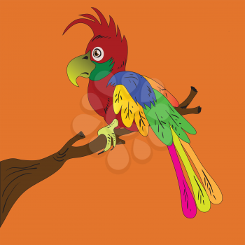 colorful illustration with parrot for your design