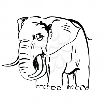  illustration with  elephant  for your design