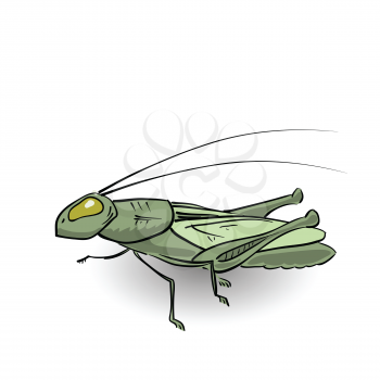 colorful illustration with green grasshopper for your design
