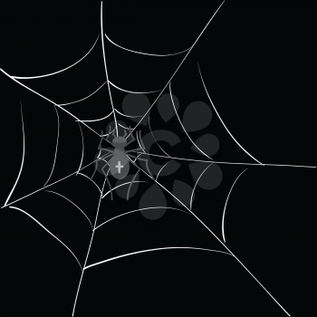  illustration with spider in web for your design