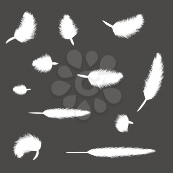  illustration with set of feathers for your design