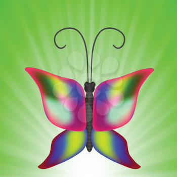 colorful illustration with butterfly for your design