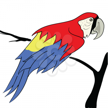 colorful illustration with parrot sitting on a branch for your design