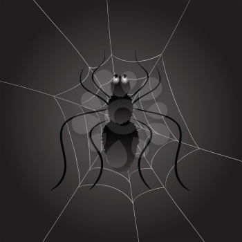 colorful illustration with black spider on a dark background  for your design