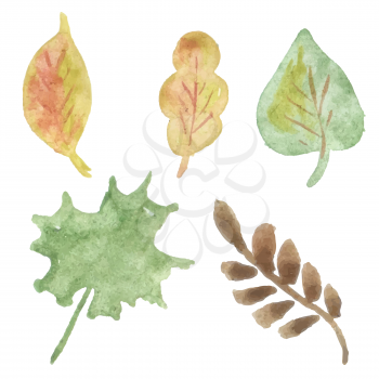colorful illustration with set of autumn leaves on  a white background