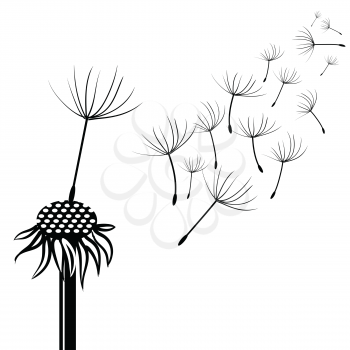  illustration with silhouette of dandelion  on a white background