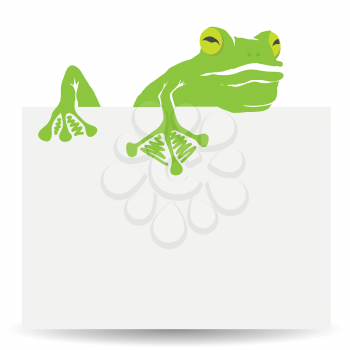 colorful illustration with green frog and sheet of paper on white background