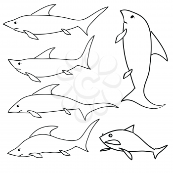 illustration  with shark set on white background