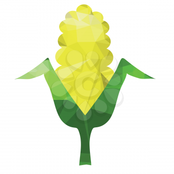 illustration  with corn cob on white  background