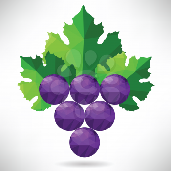 colorful illustration  with abstract grapes on white background
