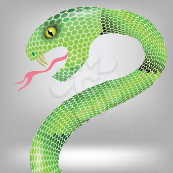 colorful illustration  with green snake attack on grey backgrounds