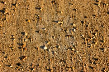 Beach Pebble Background at Sundown. Brown Beach Sand and Stones at Sun Light.