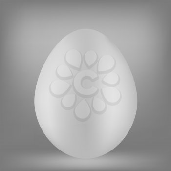 White Organic Egg Isolated on Grey Background. 