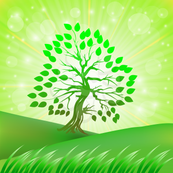Green Tree Growing on a Green Hill on a Background on the Sun Rays.